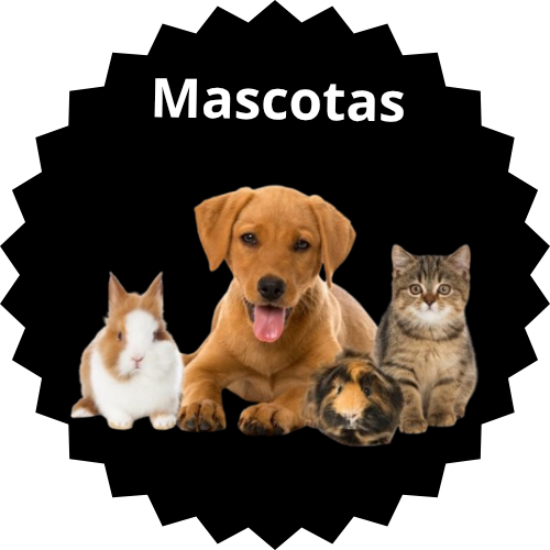 Mascotas